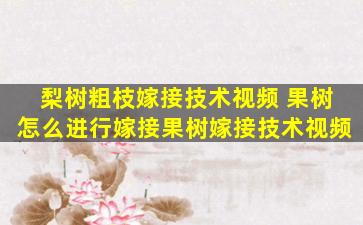 梨树粗枝嫁接技术视频 果树怎么进行嫁接果树嫁接技术视频